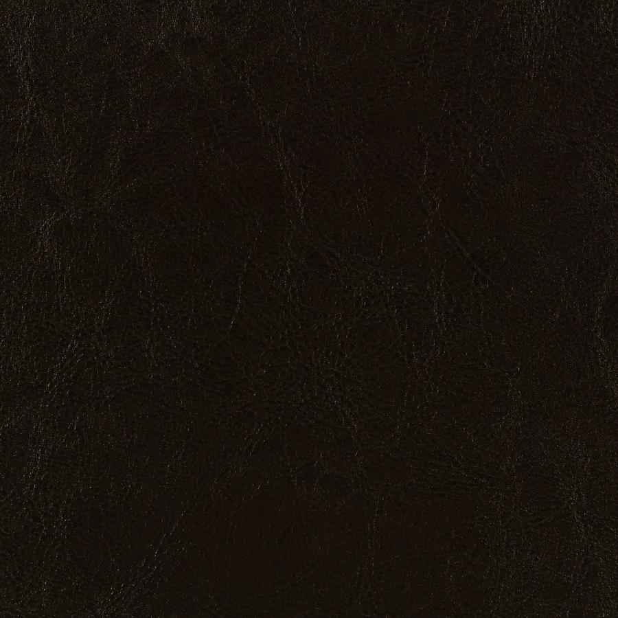 Dorian Faux Leather Upholstered Eastern King Panel Bed Brown