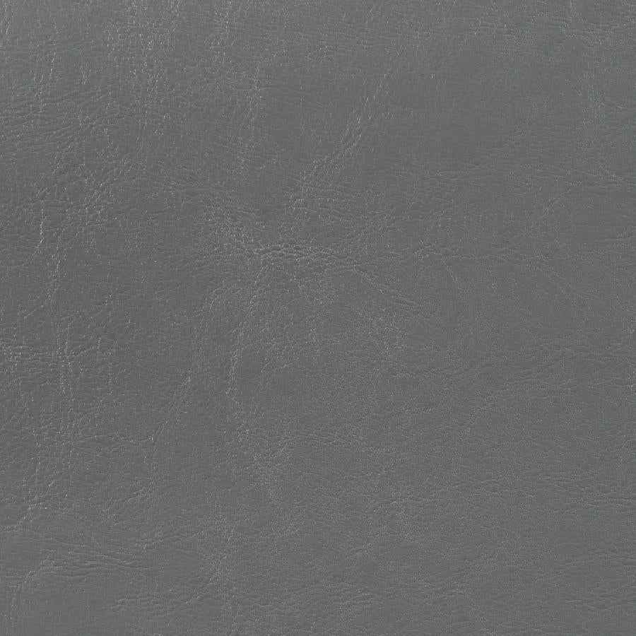 Dorian Faux Leather Upholstered Queen Panel Bed Grey