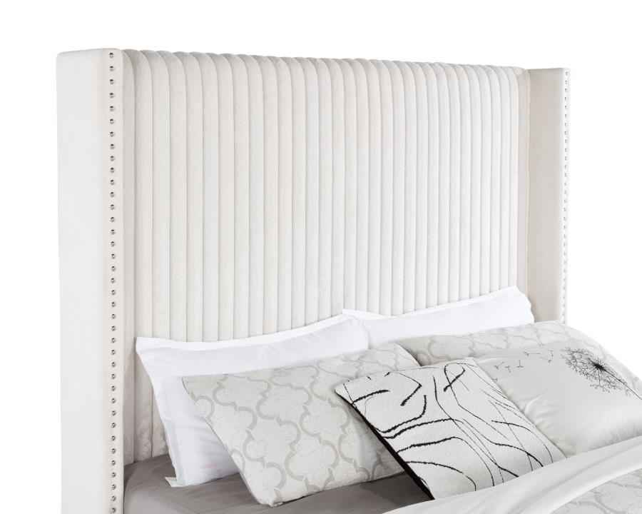 Natasha 65-inch Upholstered Queen Wingback Bed Cream - Home & Sleep Outlet