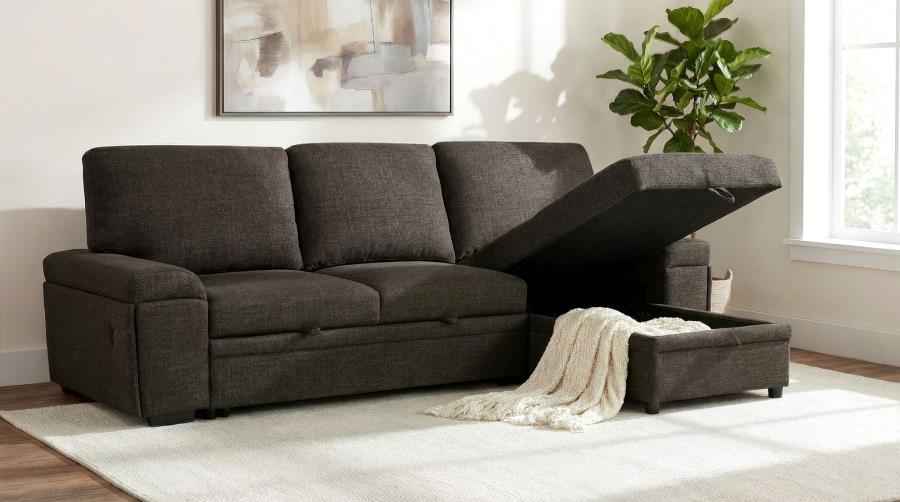 Demko Sleeper Sectional Sofa with Speaker and Storage Chaise Brown