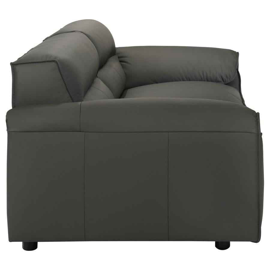 Buxton 2-piece Leather Upholstered Sofa Set Graphite
