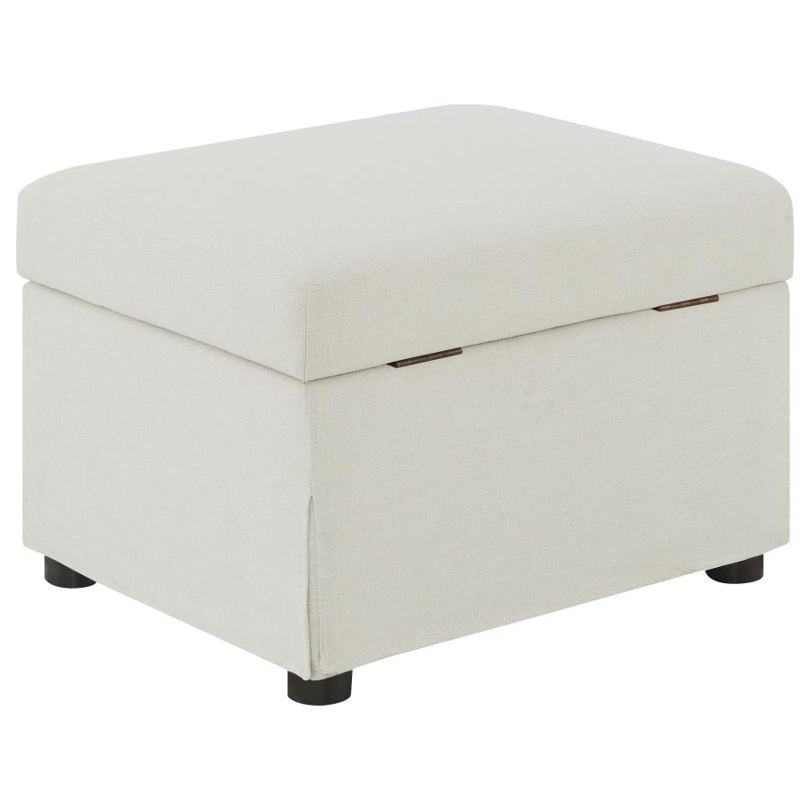 Winter Upholstered Hydraulic Lift Top Storage Ottoman Beige - Home & Sleep Outlet