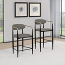 Tina Fabric Upholstered Counter Chair Grey (Set of 2)
