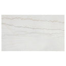 Averill 72-inch Rectangular White Marble Top Dining Table Coffee Bean