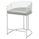 Thermosolis Clear Acrylic Counter Chair Chrome (Set of 2) - Home & Sleep Outlet