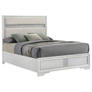 Miranda 54-inch Upholstered Queen Panel Bed White - Home & Sleep Outlet