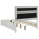 Miranda 54-inch Upholstered Queen Panel Bed White - Home & Sleep Outlet
