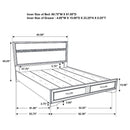 Miranda 51-inch Wood Queen Storage Panel Bed White - Home & Sleep Outlet