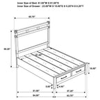 Home & Sleep Outlet - Hazlewood 59-inch Queen Panel Storage Bed Vineyard Oak