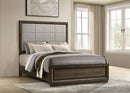 Atlas 64-inch Queen Upholstered Panel Bed Grey and Dark Oak
