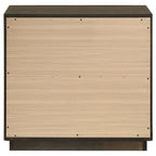 Home & Sleep Outlet - Atlas 2-drawer Bedroom Nightstand Bedside Table Dark Oak