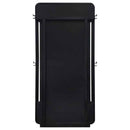 Leandro 76-inch Full Length Floor Mirror Burnished Black