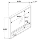 Stillwater Dresser Mirror with Jewelry Shelf