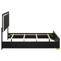 Marceline Wood Queen LED Panel Bed Black