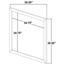 Ines Dresser Mirror White High Gloss