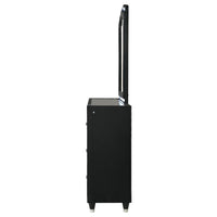 Lorient 8-drawer LED Flame Box Dresser and Mirror Black