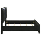Home & Sleep Outlet - Ravenne Velvet Upholstered Queen LED Panel Bed Black