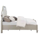 Evangeline Wood California King LED Panel Bed Silver Oak - Home & Sleep Outlet