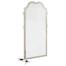 Evangeline Full Length LED Light Floor Mirror Silver Oak - Home & Sleep Outlet