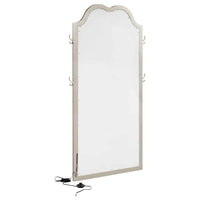 Evangeline Full Length LED Light Floor Mirror Silver Oak - Home & Sleep Outlet
