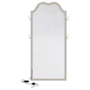 Evangeline Full Length LED Light Floor Mirror Silver Oak - Home & Sleep Outlet
