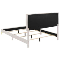 Kendall Upholstered Queen Panel Bed White
