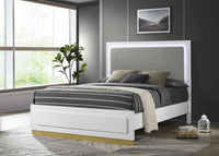 Caraway Wood Eastern King LED Panel Bed White - Home & Sleep Outlet
