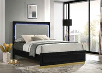 Caraway Wood Eastern King LED Panel Bed Black - Home & Sleep Outlet
