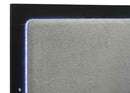Caraway Wood Queen LED Panel Bed Black - Home & Sleep Outlet