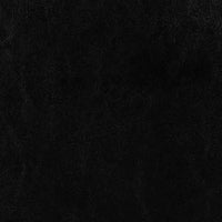 Dorian Faux Leather Upholstered Twin Panel Bed Black