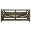Sorrento 2-drawer Twin XL Daybed with Extension Trundle Grey