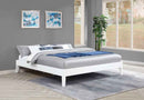 Hounslow Eastern King Universal Platform Bed White - Home & Sleep Outlet