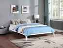 Hounslow Queen Universal Platform Bed White - Home & Sleep Outlet