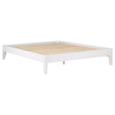 Hounslow Queen Universal Platform Bed White - Home & Sleep Outlet