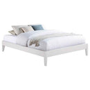 Hounslow Queen Universal Platform Bed White - Home & Sleep Outlet