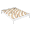 Hounslow Queen Universal Platform Bed White - Home & Sleep Outlet
