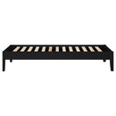 Hounslow Twin Universal Platform Bed Black - Home & Sleep Outlet