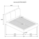 Mokena 46-inch Upholstered Queen Platform Bed Taupe