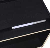 Westpark 2-drawer Nightstand LED Lights and USB Black