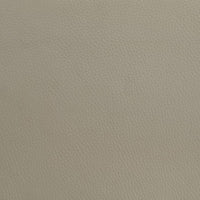 Medley Genuine Leather Queen Panel Platform Bed Tan