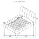 Nollet 48-inch Upholstered Queen Panel Platform Bed Cream