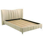 Home & Sleep Outlet - Evelyn Upholstered Queen Panel Platform Bed Ivory