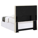 Kosmo Upholstered Twin Panel Headboard Sand