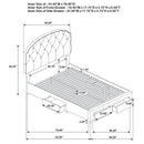 Marianna 4-drawer Upholstered Full Storage Bed Cream