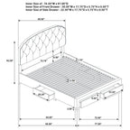 Home & Sleep Outlet - Marianna 4-drawer Upholstered Eastern King Storage Bed Cream