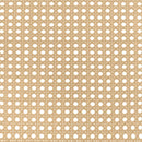 Lanewood Open Cane Webbing Metal Queen Bed White