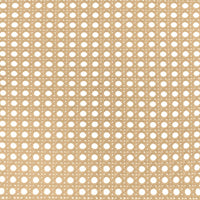 Lanewood Open Cane Webbing Metal Queen Bed White
