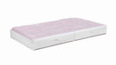Chapman Wood Storage Trundle White - Home & Sleep Outlet