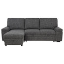 Demko Sleeper Sectional Sofa with Speaker and Storage Chaise Granite