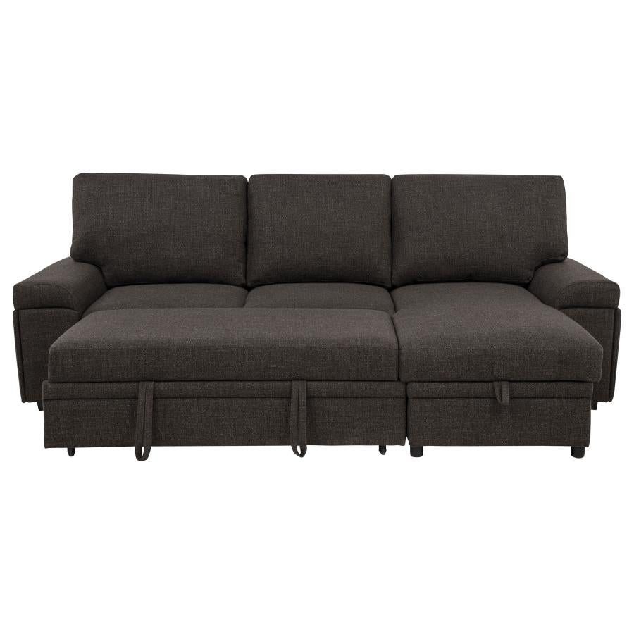 Demko Sleeper Sectional Sofa with Speaker and Storage Chaise Brown